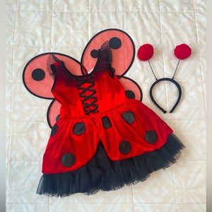 Lady bug costume size 4T. Used in very good condition with Velcro attached wings
